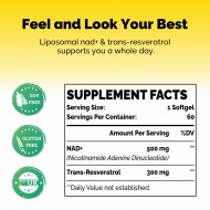 Azaroe Liposomal NAD+ & Trans-Resveratrol 800mg 60 Softgels Azaroe Liposomal NAD+ & Trans-Resveratrol 800mg 60 Softgels