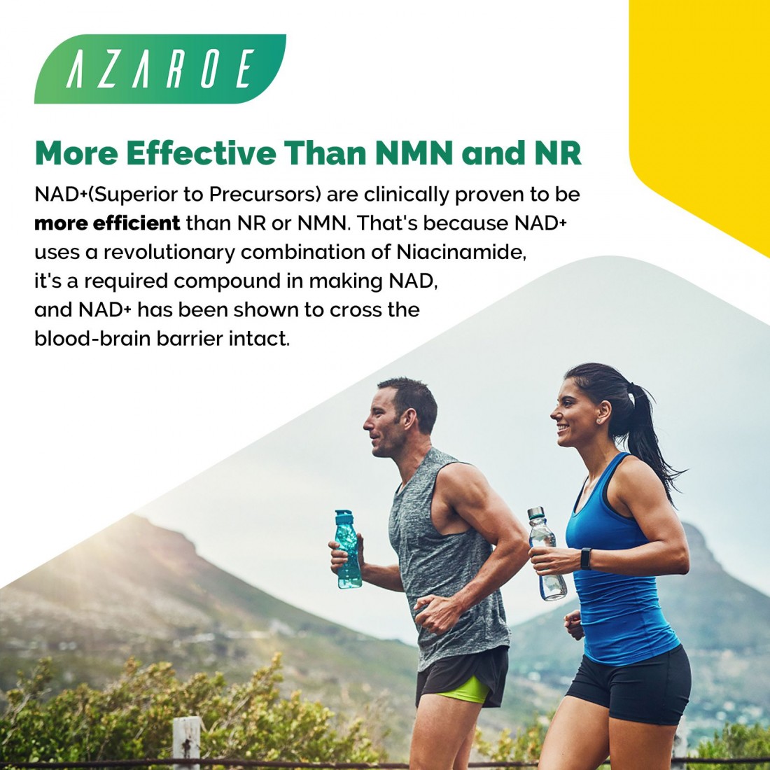 Buy Azaroe Liposomal NAD+ & TransResveratrol 800mg 60 Softgels
