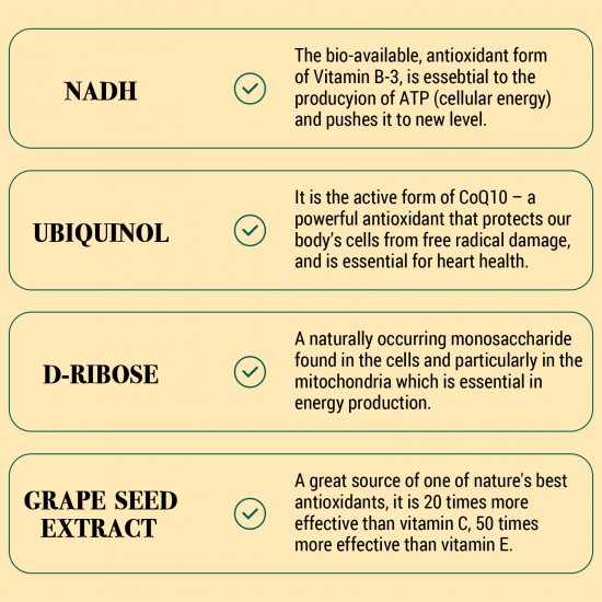 Coutihot NADH 50mg Plus CoQ10 200 mg 60 Capsules, Reduced Form of NAD+