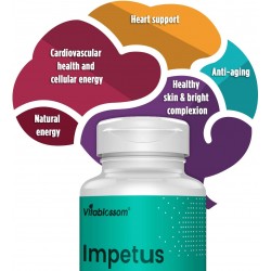 Vitablossom CoEnzyme Q10 PQQ avec Pure Reduced Glutathione 520mg 60 Capsules